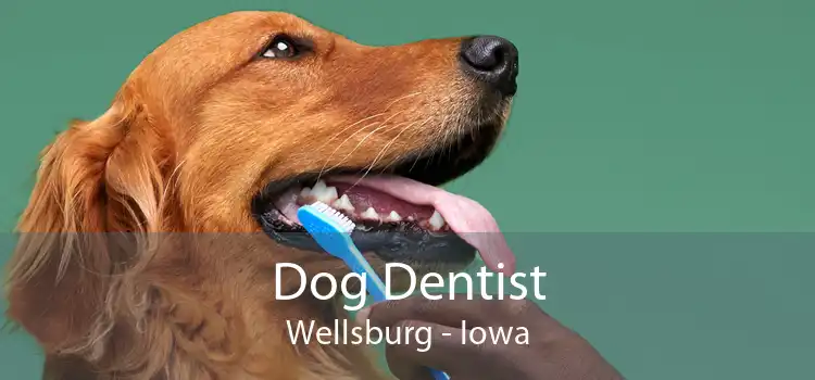 Dog Dentist Wellsburg - Iowa