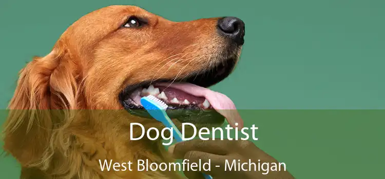 Dog Dentist West Bloomfield - Michigan