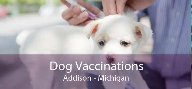 Dog Vaccinations Addison - Michigan