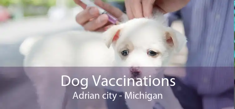 Dog Vaccinations Adrian city - Michigan