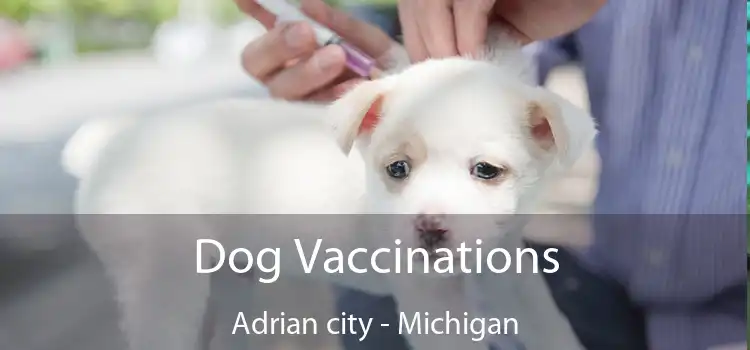 Dog Vaccinations Adrian city - Michigan