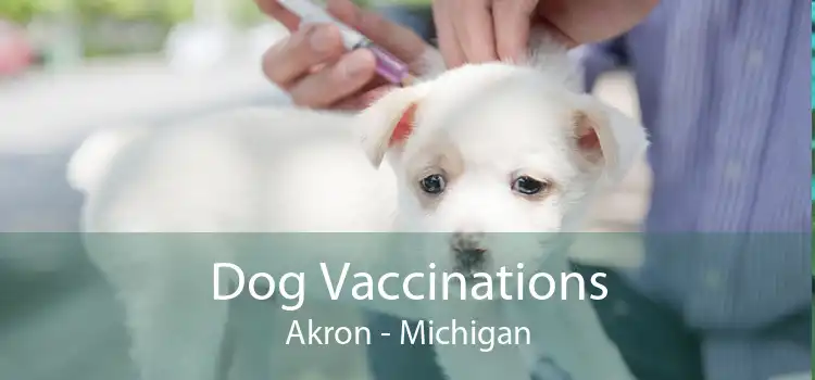 Dog Vaccinations Akron - Michigan