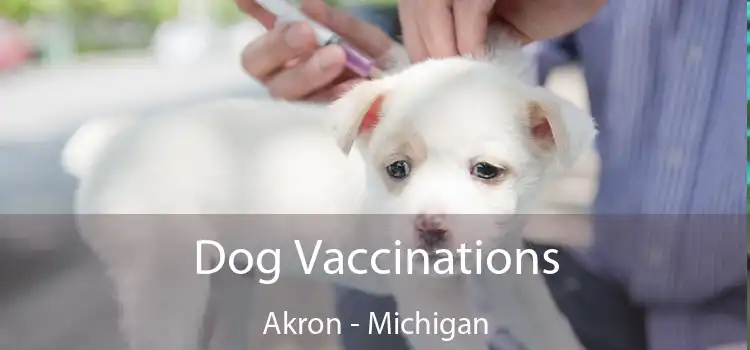 Dog Vaccinations Akron - Michigan