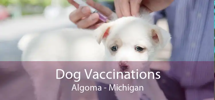 Dog Vaccinations Algoma - Michigan