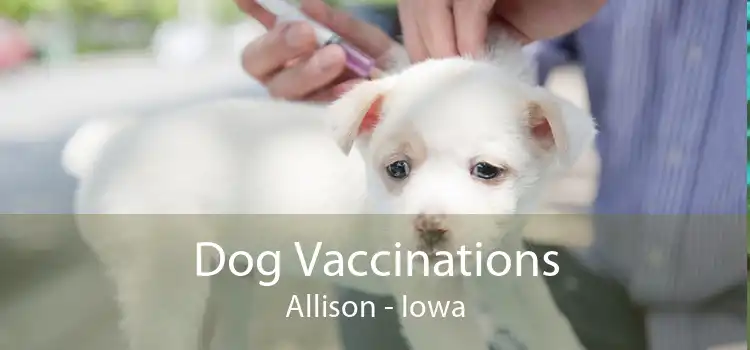 Dog Vaccinations Allison - Iowa