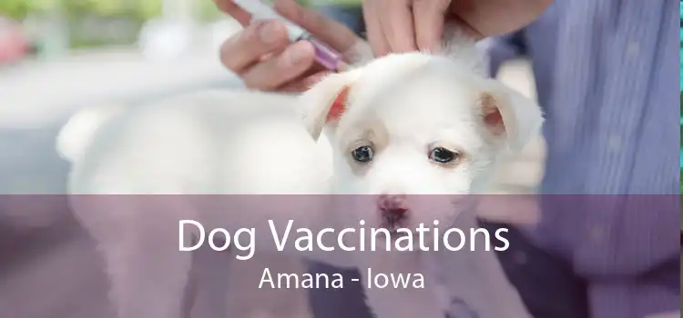 Dog Vaccinations Amana - Iowa