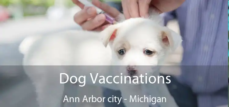 Dog Vaccinations Ann Arbor city - Michigan