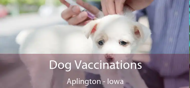 Dog Vaccinations Aplington - Iowa
