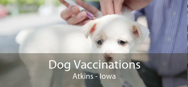 Dog Vaccinations Atkins - Iowa