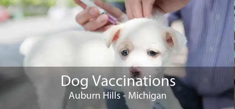 Dog Vaccinations Auburn Hills - Michigan