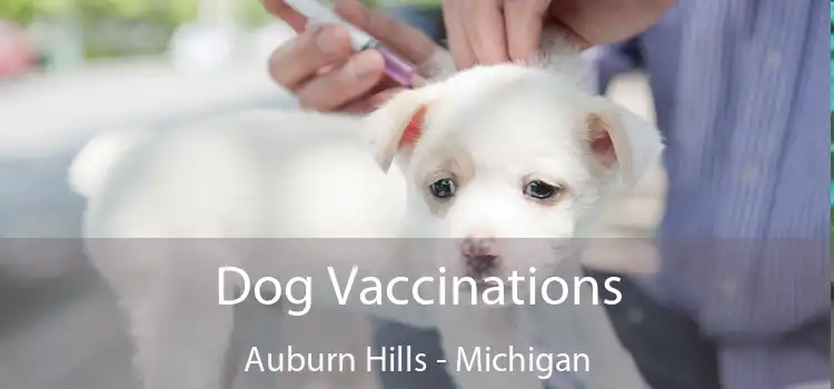 Dog Vaccinations Auburn Hills - Michigan