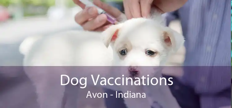 Dog Vaccinations Avon - Indiana