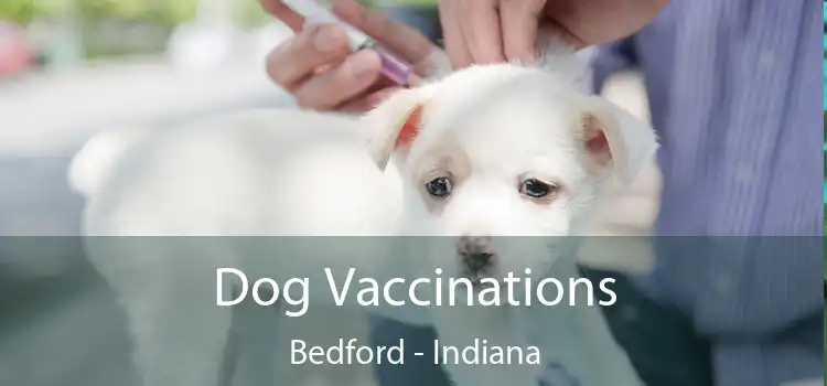 Dog Vaccinations Bedford - Indiana