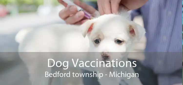 Dog Vaccinations Bedford township - Michigan