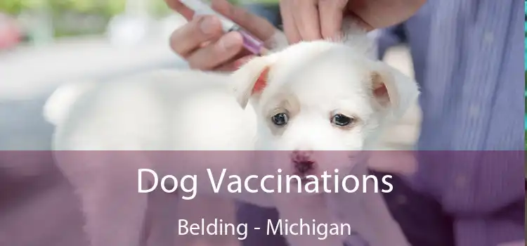 Dog Vaccinations Belding - Michigan