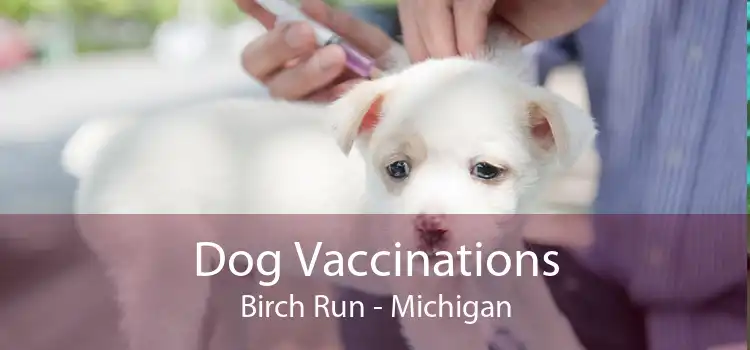 Dog Vaccinations Birch Run - Michigan
