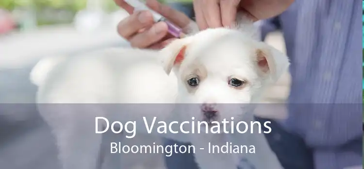 Dog Vaccinations Bloomington - Indiana