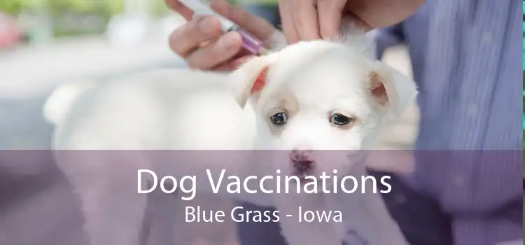 Dog Vaccinations Blue Grass - Iowa
