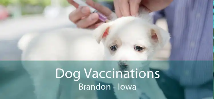 Dog Vaccinations Brandon - Iowa