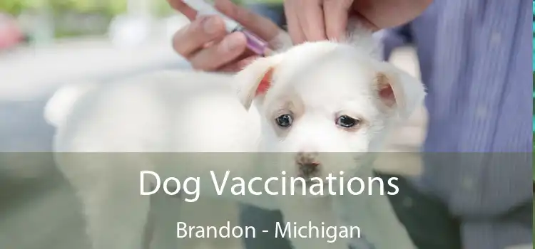 Dog Vaccinations Brandon - Michigan