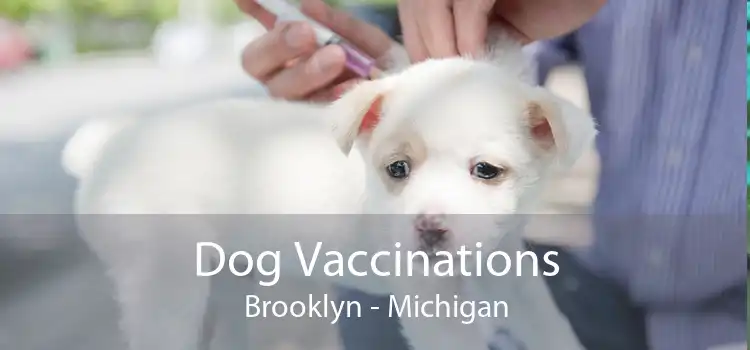 Dog Vaccinations Brooklyn - Michigan