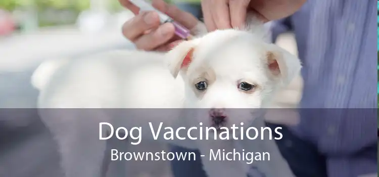Dog Vaccinations Brownstown - Michigan