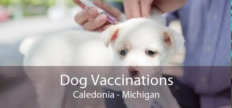 Dog Vaccinations Caledonia - Michigan