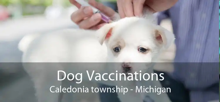 Dog Vaccinations Caledonia township - Michigan