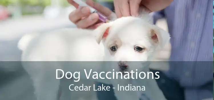 Dog Vaccinations Cedar Lake - Indiana