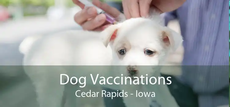 Dog Vaccinations Cedar Rapids - Iowa