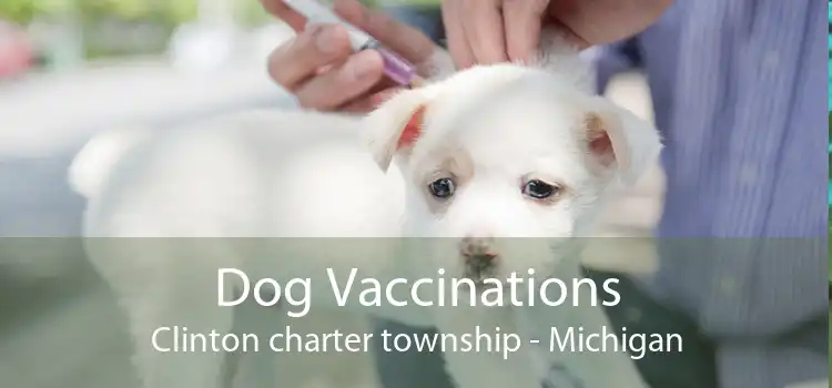Dog Vaccinations Clinton charter township - Michigan