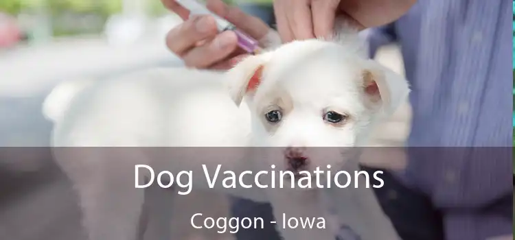 Dog Vaccinations Coggon - Iowa