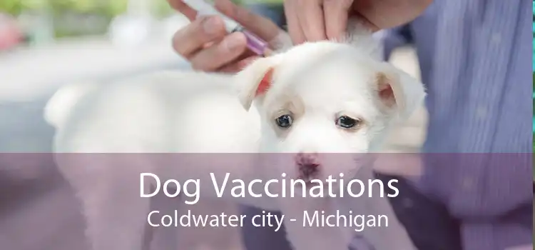 Dog Vaccinations Coldwater city - Michigan