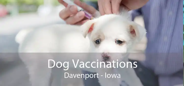 Dog Vaccinations Davenport - Iowa