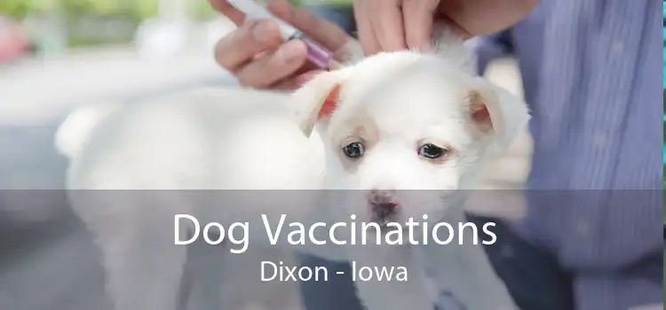 Dog Vaccinations Dixon - Iowa