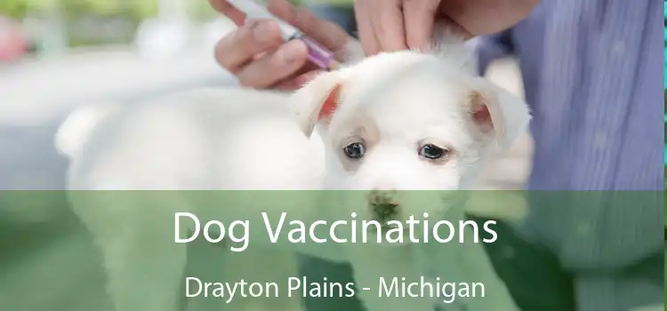 Dog Vaccinations Drayton Plains - Michigan