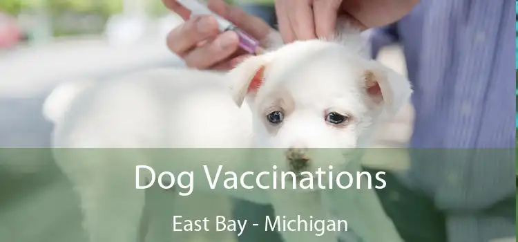 Dog Vaccinations East Bay - Michigan