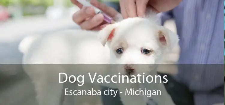 Dog Vaccinations Escanaba city - Michigan
