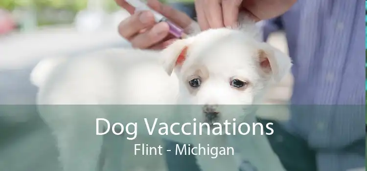 Dog Vaccinations Flint - Michigan