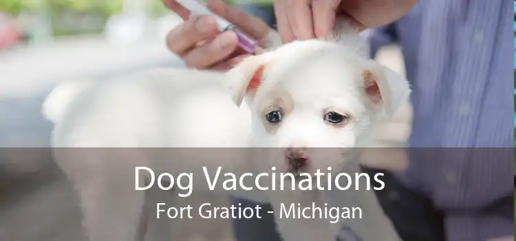 Dog Vaccinations Fort Gratiot - Michigan