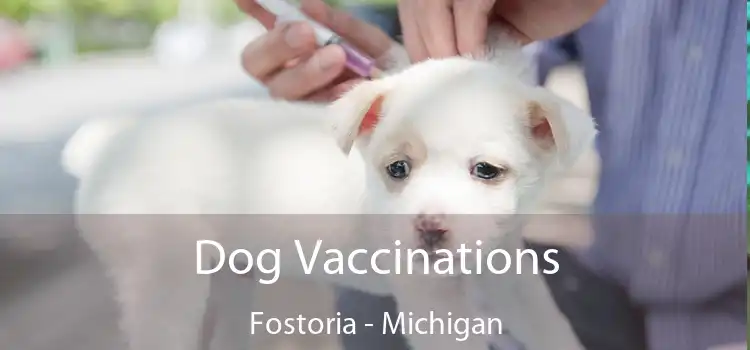 Dog Vaccinations Fostoria - Michigan