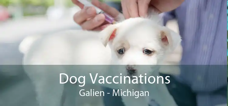 Dog Vaccinations Galien - Michigan