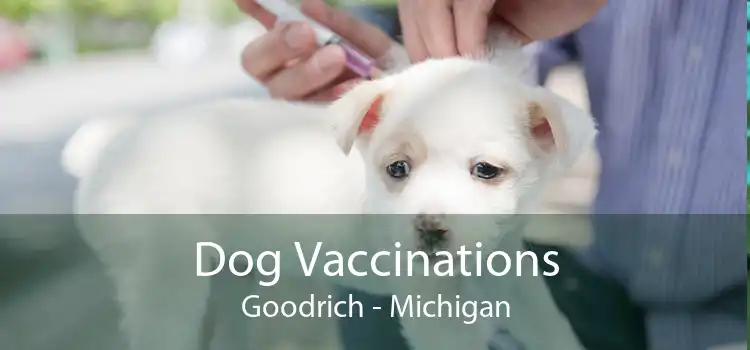 Dog Vaccinations Goodrich - Michigan