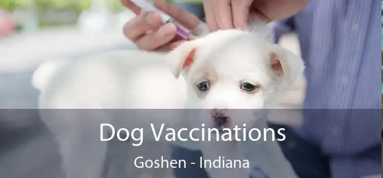 Dog Vaccinations Goshen - Indiana