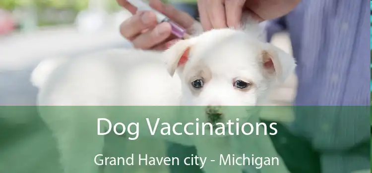 Dog Vaccinations Grand Haven city - Michigan