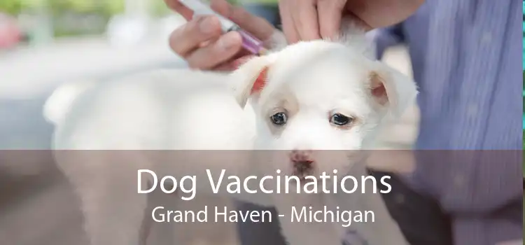 Dog Vaccinations Grand Haven - Michigan
