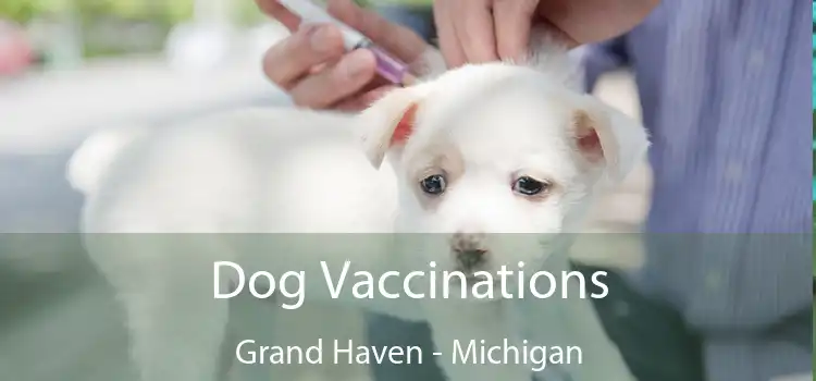 Dog Vaccinations Grand Haven - Michigan