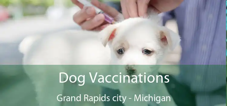 Dog Vaccinations Grand Rapids city - Michigan