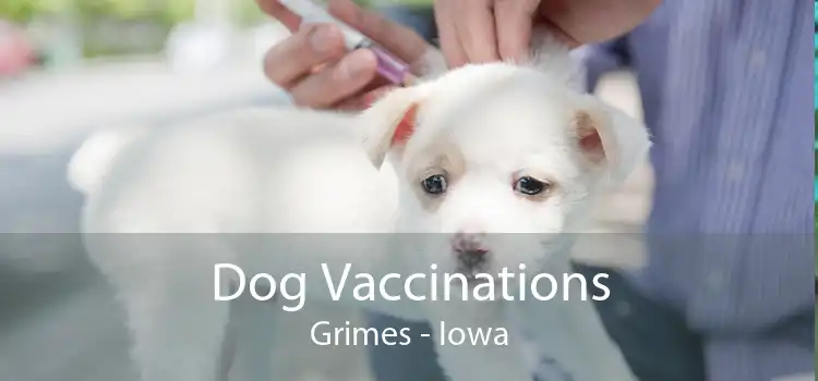 Dog Vaccinations Grimes - Iowa