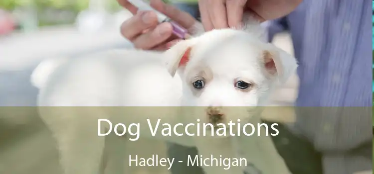 Dog Vaccinations Hadley - Michigan